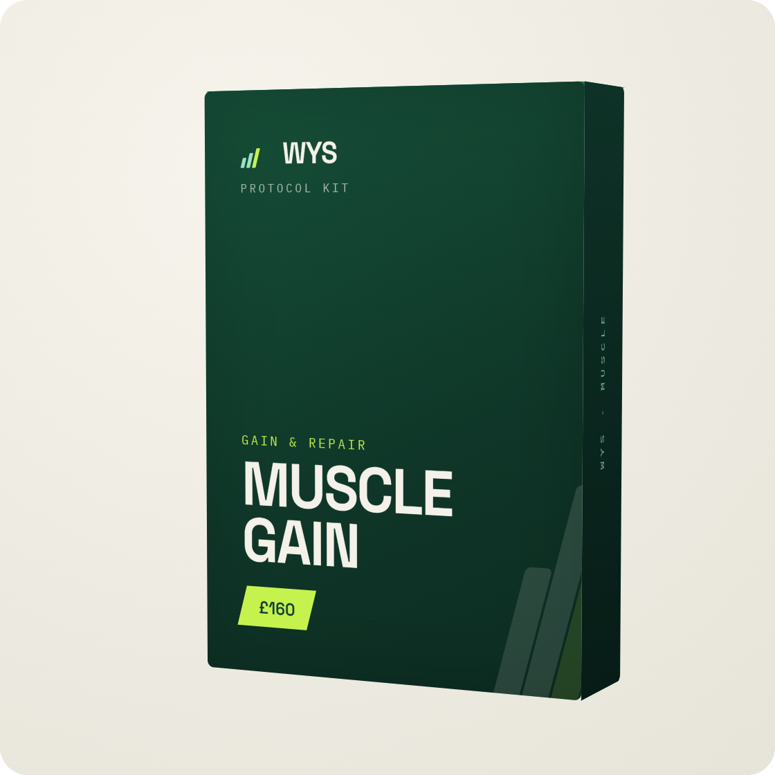 Muscle Gain & Repair Plan