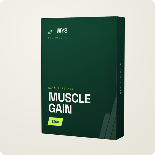 Muscle Gain & Repair Plan